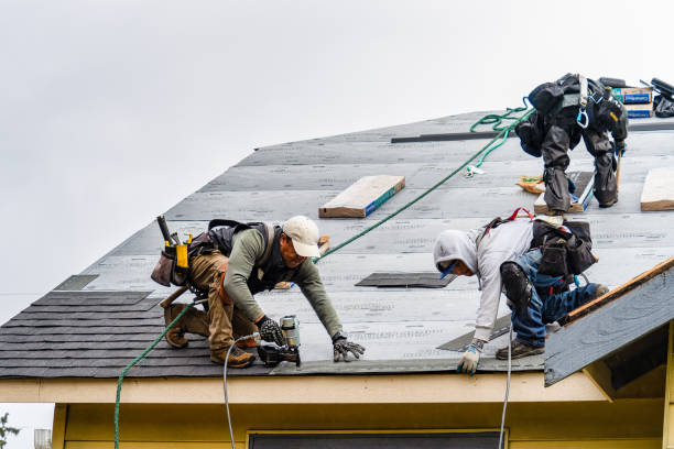 Professional Gutter Installation technician working in Thornton, WA